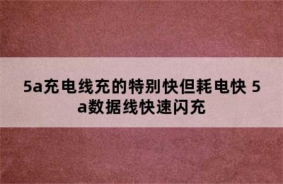 5a充电线充的特别快但耗电快 5a数据线快速闪充